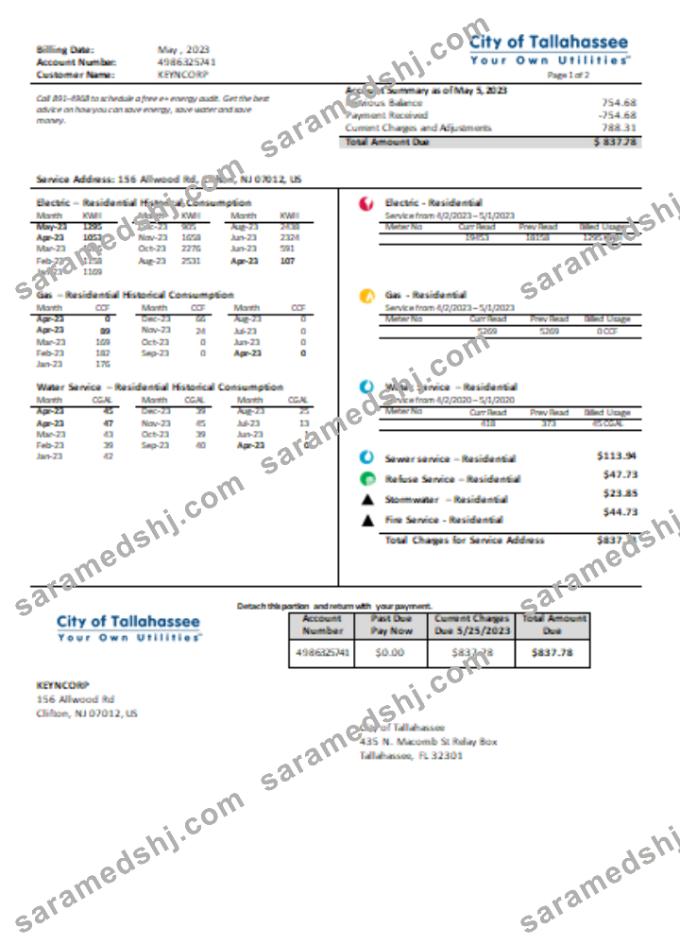 Florida City of Tallahassee Florida Your Own Utilities business bill,  SCR